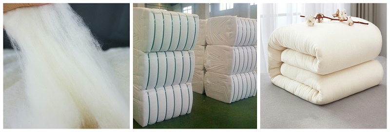 必一·运动(B-Sports)医纺